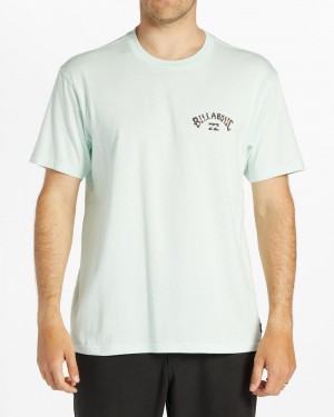 Aqua Men's Billabong Arch Fill Short Sleeve T-Shirt | 026143QRB