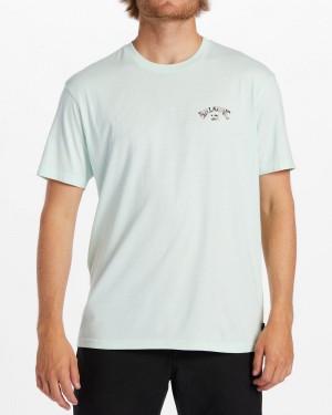 Aqua Men's Billabong Arch Fill T-Shirt | 128635GWN