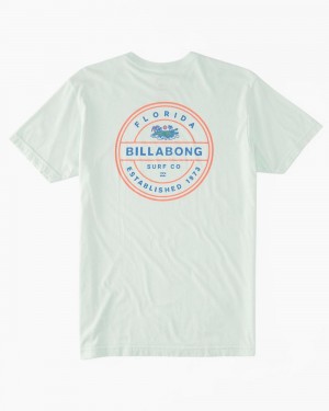 Aqua Men's Billabong Gator Rotor T-Shirt | 619473OXT