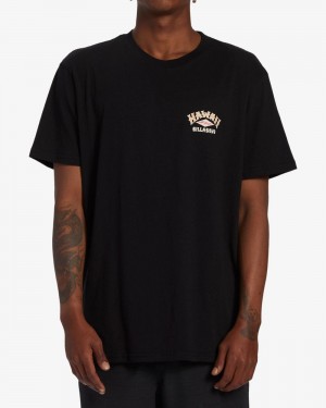 Black Men's Billabong Arch Hawaii Short Sleeve T-Shirt | 245017TKF