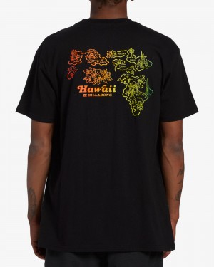 Black Men's Billabong Handkie Hawaii Short Sleeve T-Shirt | 897165ZDA