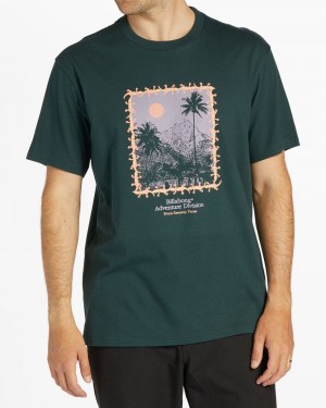 Black Men's Billabong Palms Short Sleeve T-Shirt | 986573GSN