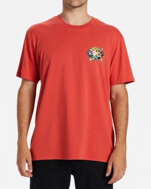 Coral Men's Billabong Jaguar T-Shirt | 237569CHW