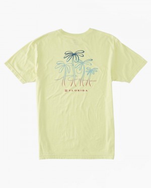 Light Green Men's Billabong Fl Breeze T-Shirt | 642305GLJ