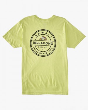 Light Green Men's Billabong Rotor Rooster T-Shirt | 217058DAO