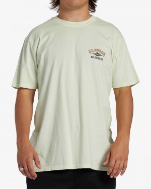 Mint Cream Men's Billabong Arch Florida Short Sleeve T-Shirt | 648071WBU