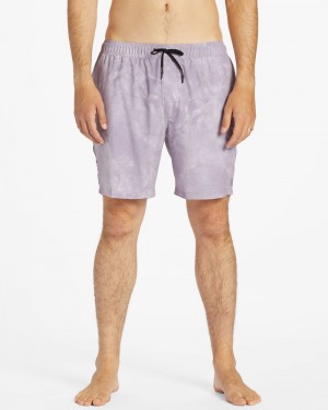 Purple Ash Men's Billabong A/Div Surftrek Elastic 17" Shorts | 276854HAM