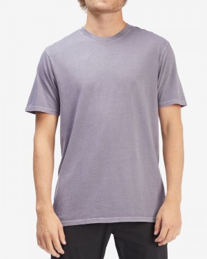 Purple Haze Men's Billabong Essential Wave Washed Short Sleeve T-Shirt | 019325FPZ