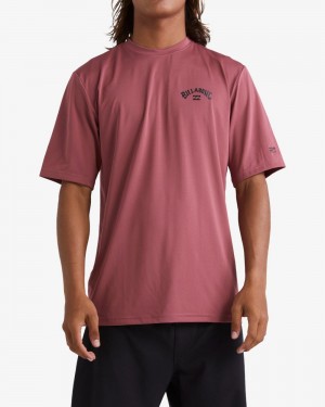 Rose Dust Men's Billabong Arch Wave Loose Fit Short Sleeve Surf T-Shirt | 127859WKI