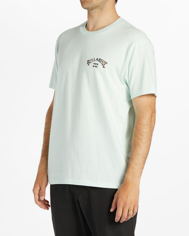 Aqua Men's Billabong Arch Fill Short Sleeve T-Shirt | 026143QRB