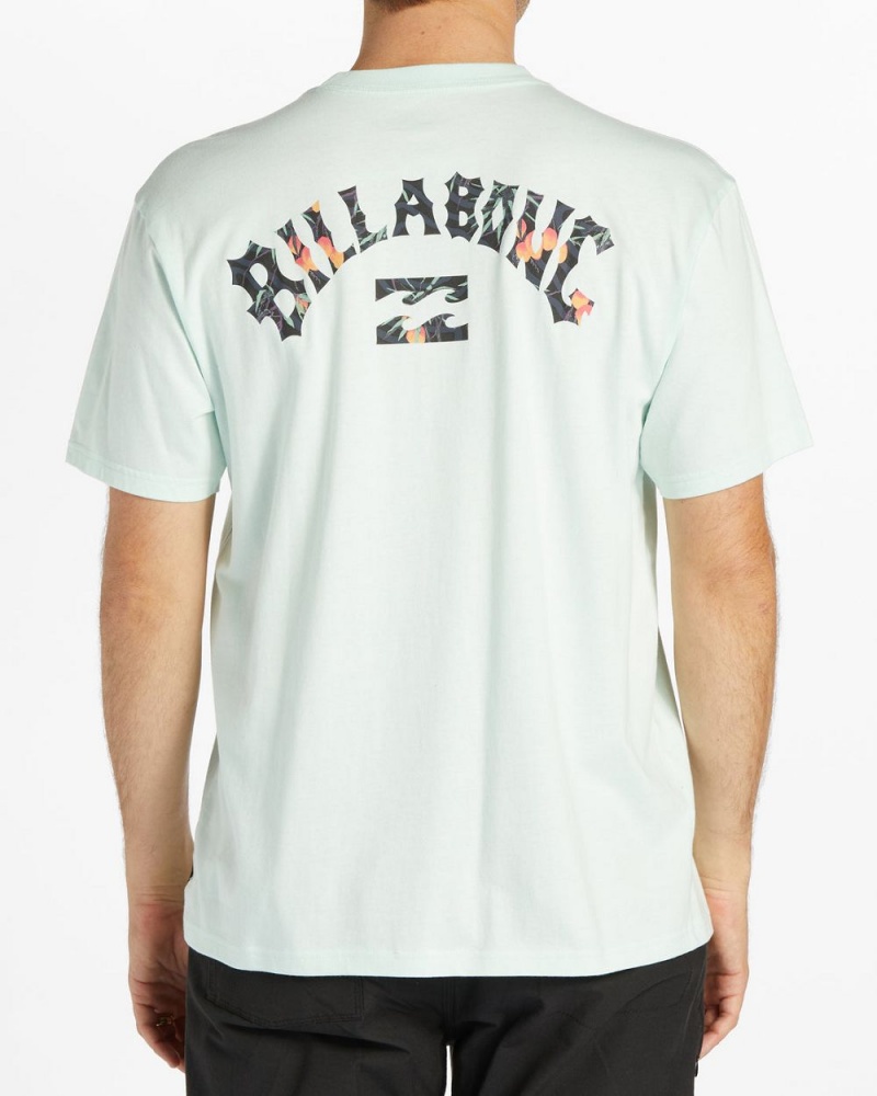 Aqua Men's Billabong Arch Fill Short Sleeve T-Shirt | 026143QRB