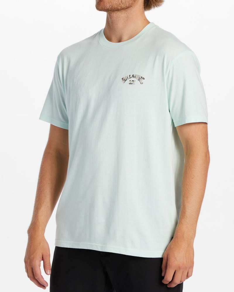 Aqua Men's Billabong Arch Fill T-Shirt | 128635GWN