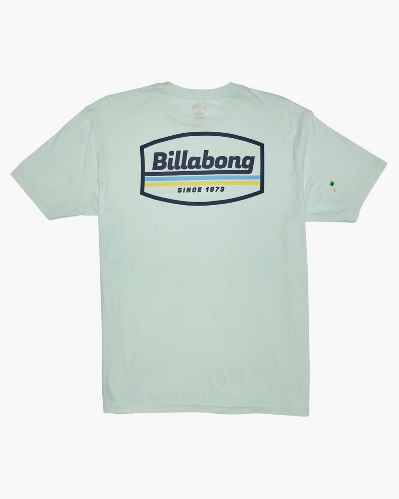 Aqua Men's Billabong Walled T-Shirt | 394628USR