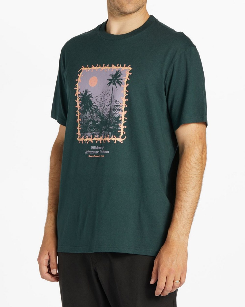 Black Men's Billabong Palms Short Sleeve T-Shirt | 986573GSN