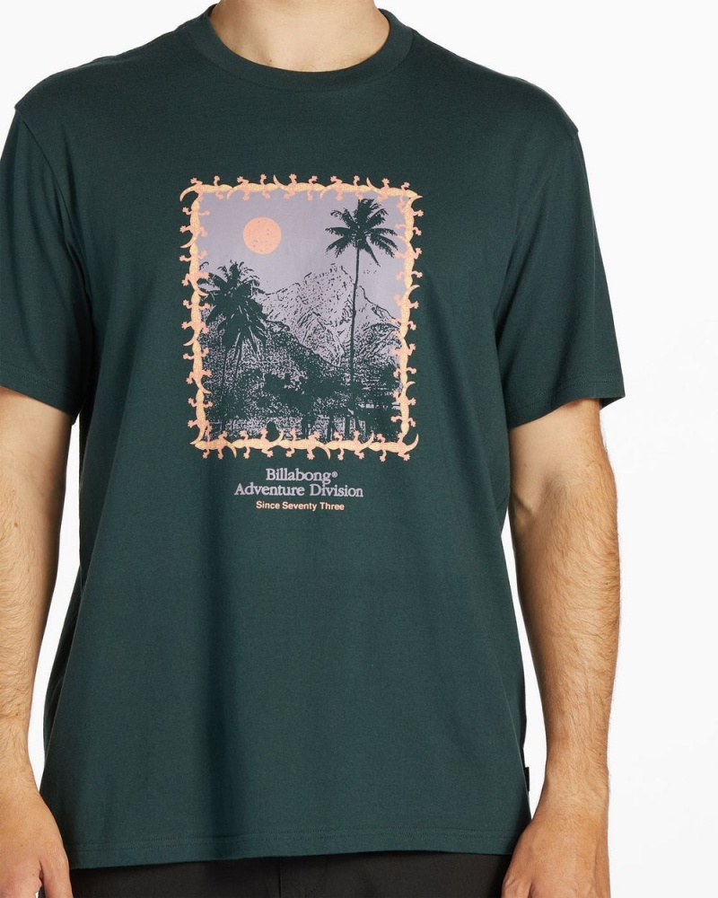 Black Men's Billabong Palms Short Sleeve T-Shirt | 986573GSN