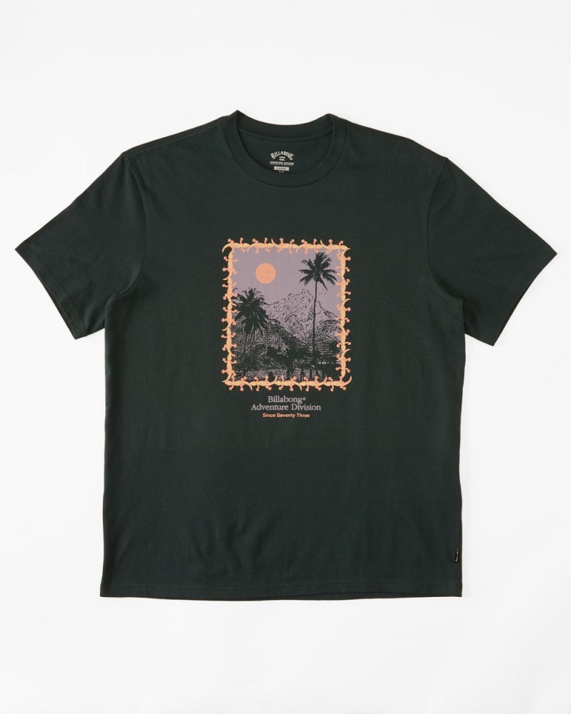 Black Men's Billabong Palms Short Sleeve T-Shirt | 986573GSN