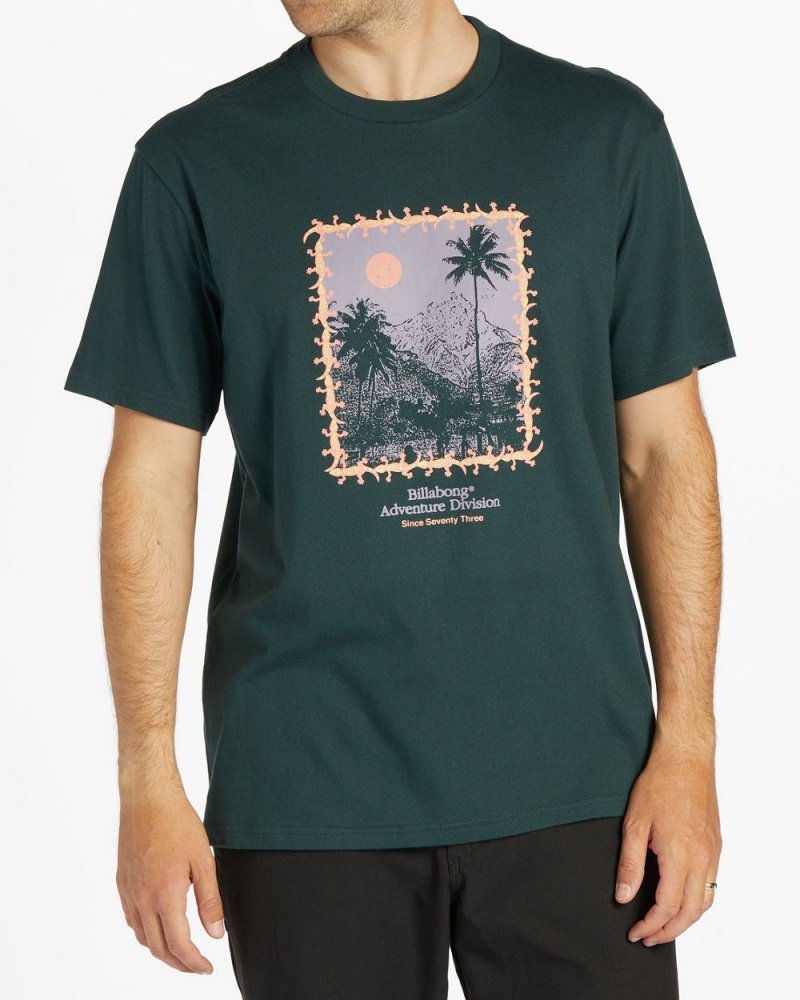 Black Men\'s Billabong Palms Short Sleeve T-Shirt | 986573GSN