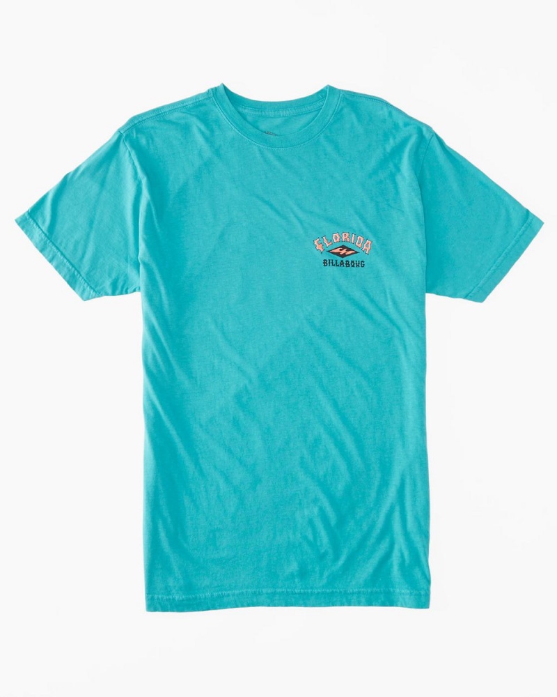 Blue Men's Billabong Flamingo Arch T-Shirt | 140239KZQ