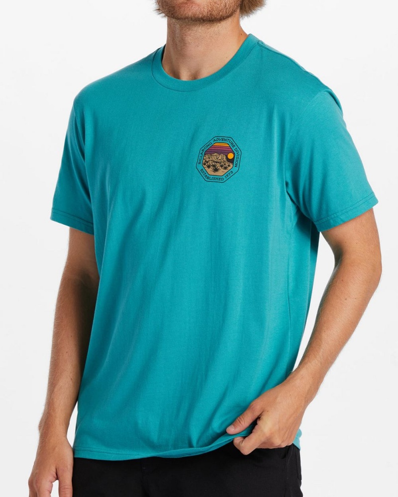 Blue Men's Billabong Rockies T-Shirt | 849251UIA