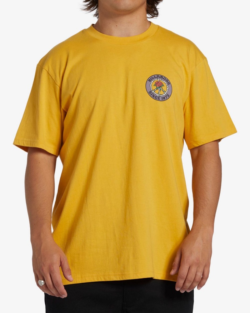 Citrus Men's Billabong Bonez Short Sleeve T-Shirt | 983260EIO