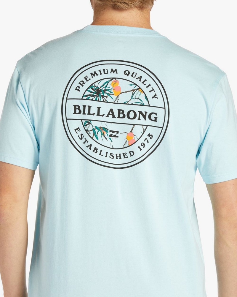 Coastal Blue Men's Billabong Rotor Short Sleeve T-Shirt | 549603PMR