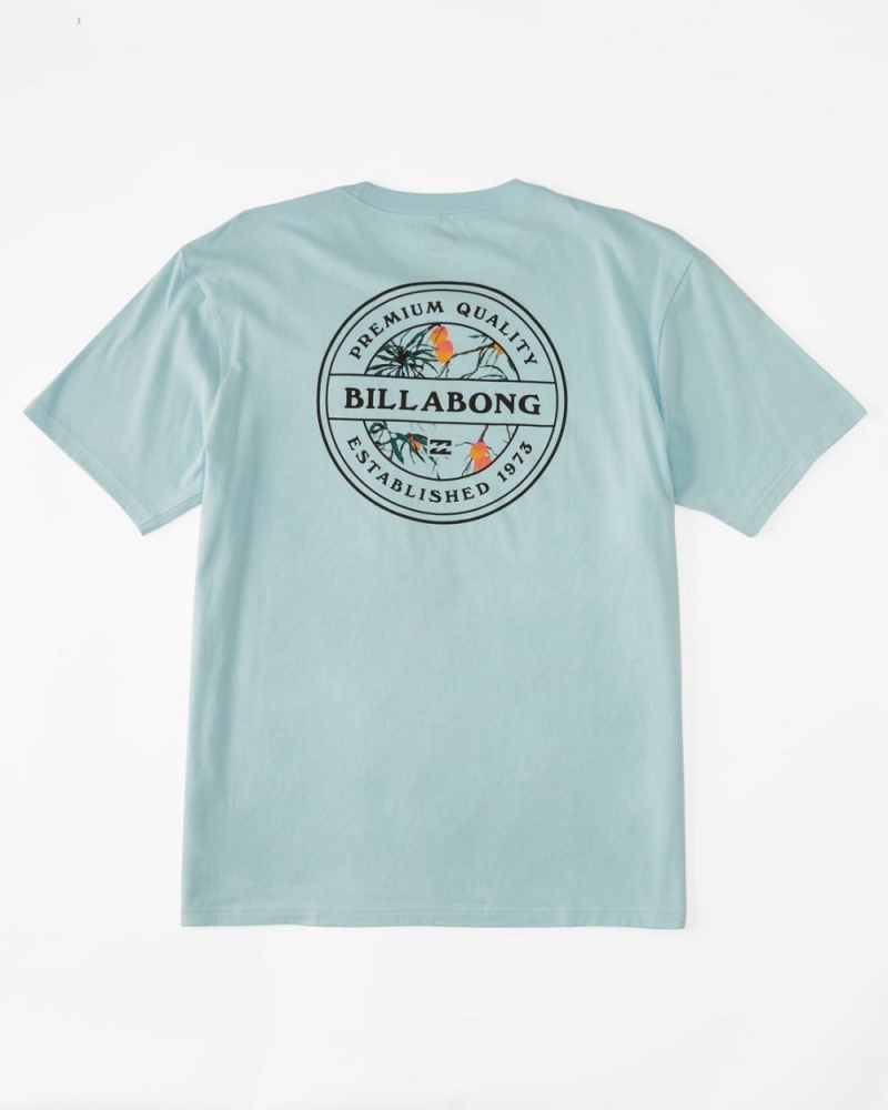 Coastal Blue Men's Billabong Rotor Short Sleeve T-Shirt | 549603PMR