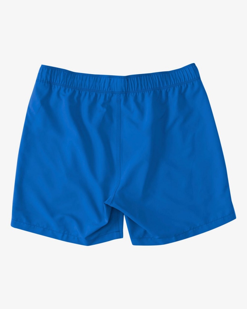 Cobalt Men's Billabong All Day Layback 16