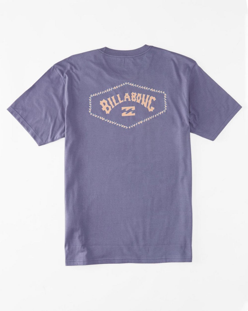 Dusty Grape Men's Billabong Exit Arch T-Shirt | 805942BVQ