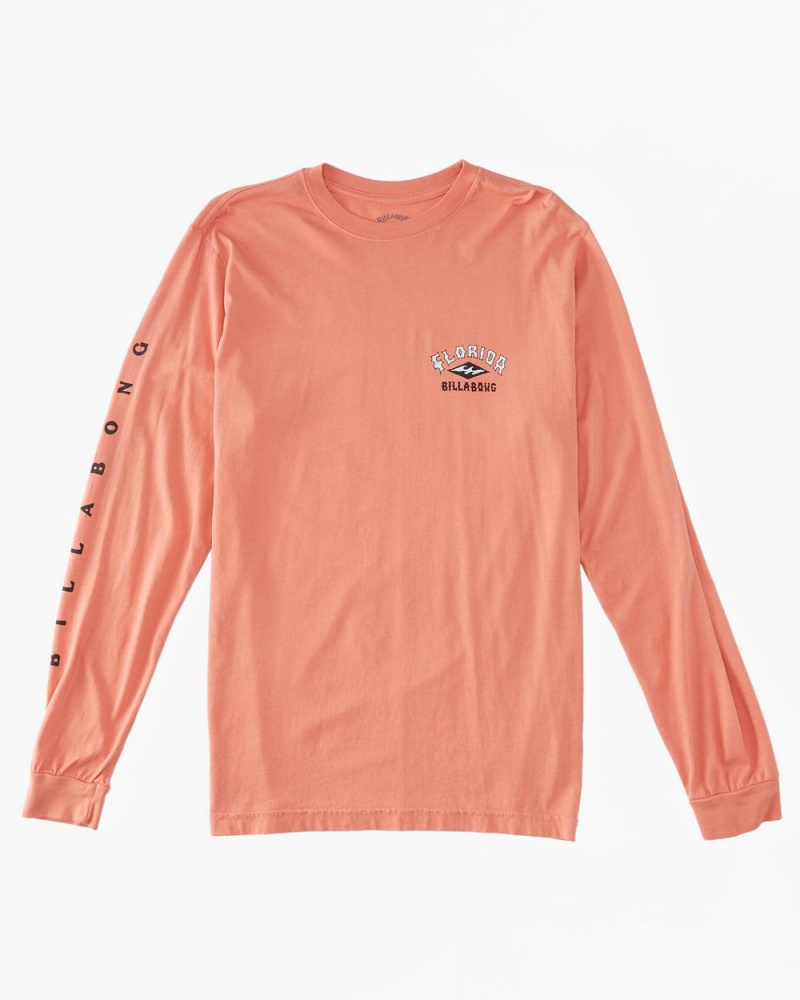 Green Men's Billabong Flamingo Arch T-Shirt | 298653YCB