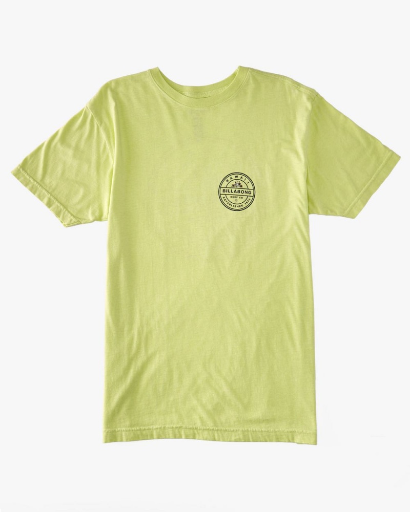 Light Green Men's Billabong Rotor Rooster T-Shirt | 217058DAO