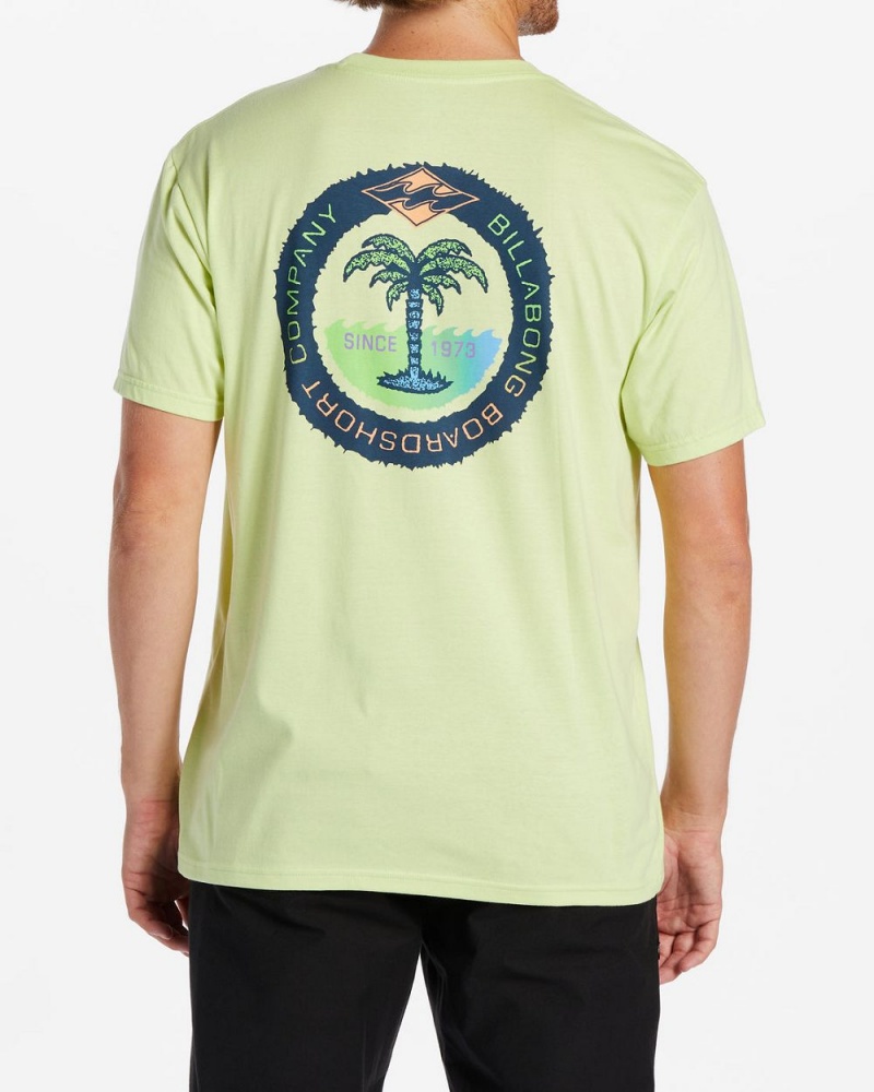 Light Green Men's Billabong Transport T-Shirt | 120658APL