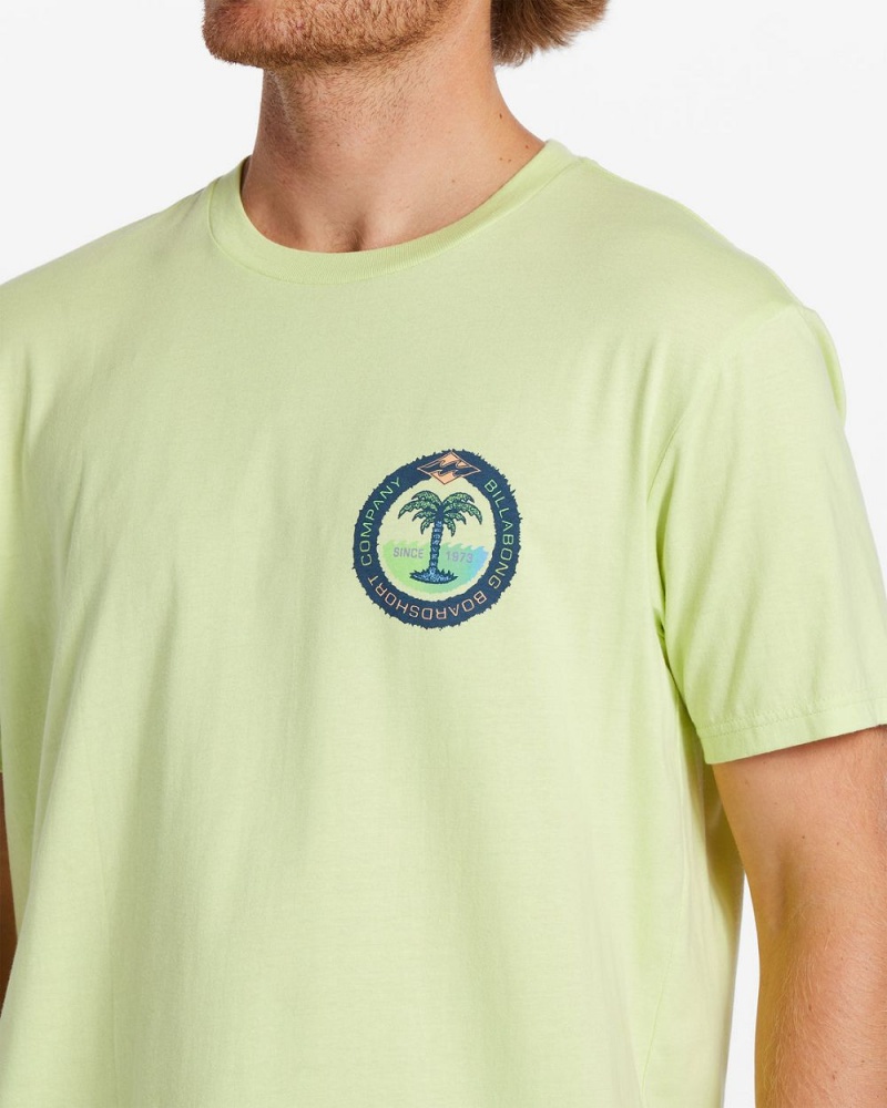 Light Green Men's Billabong Transport T-Shirt | 120658APL