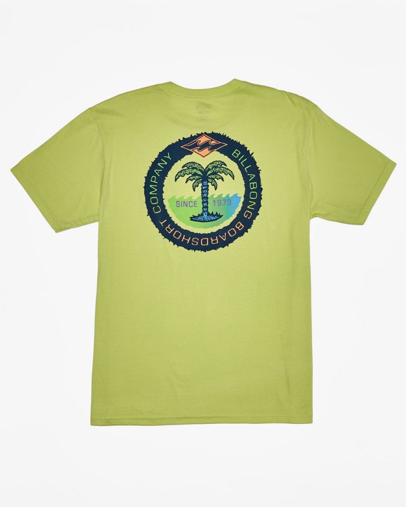 Light Green Men's Billabong Transport T-Shirt | 120658APL