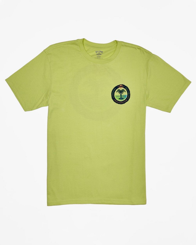 Light Green Men's Billabong Transport T-Shirt | 120658APL