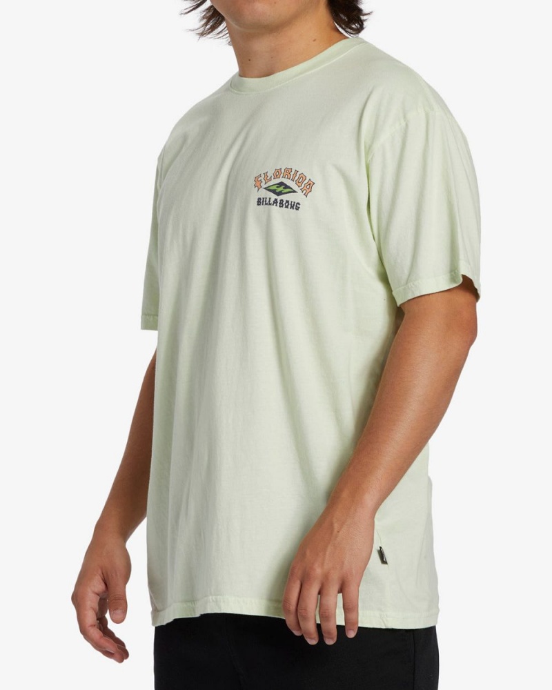 Mint Cream Men's Billabong Arch Florida Short Sleeve T-Shirt | 648071WBU