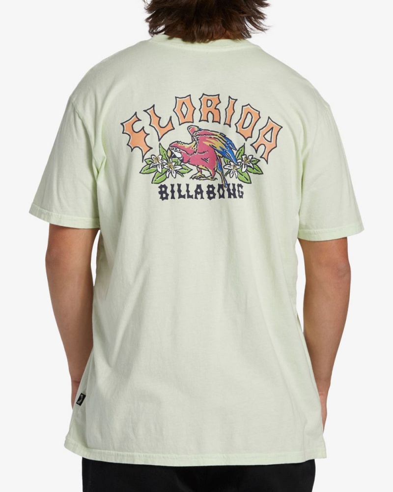 Mint Cream Men's Billabong Arch Florida Short Sleeve T-Shirt | 648071WBU