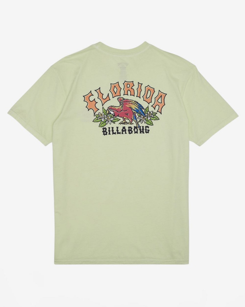 Mint Cream Men's Billabong Arch Florida Short Sleeve T-Shirt | 648071WBU