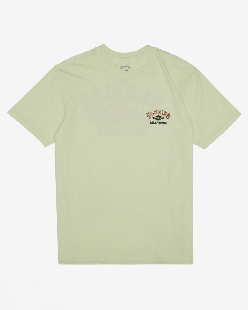 Mint Cream Men's Billabong Arch Florida Short Sleeve T-Shirt | 648071WBU