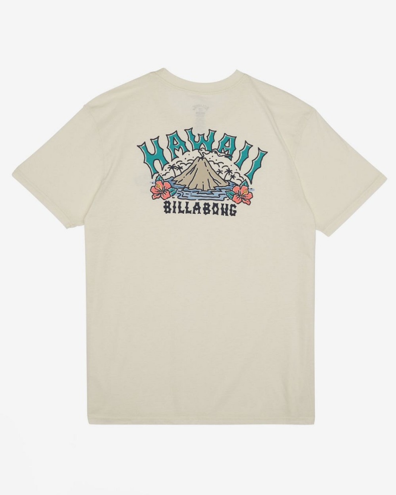 Off White Men's Billabong Arch Hawaii Short Sleeve T-Shirt | 947850ECJ