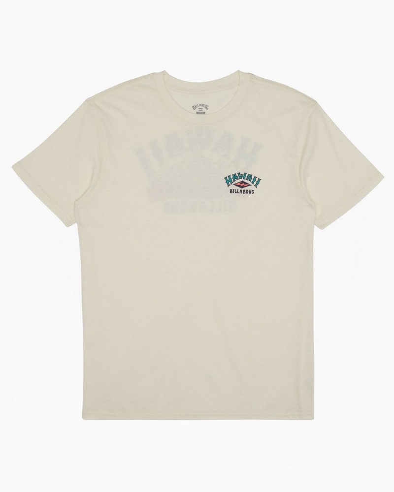 Off White Men's Billabong Arch Hawaii Short Sleeve T-Shirt | 947850ECJ