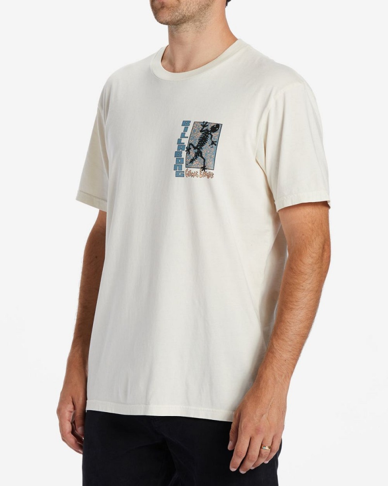 Off White Men's Billabong Cosmic Echoes T-Shirt | 286057UHG