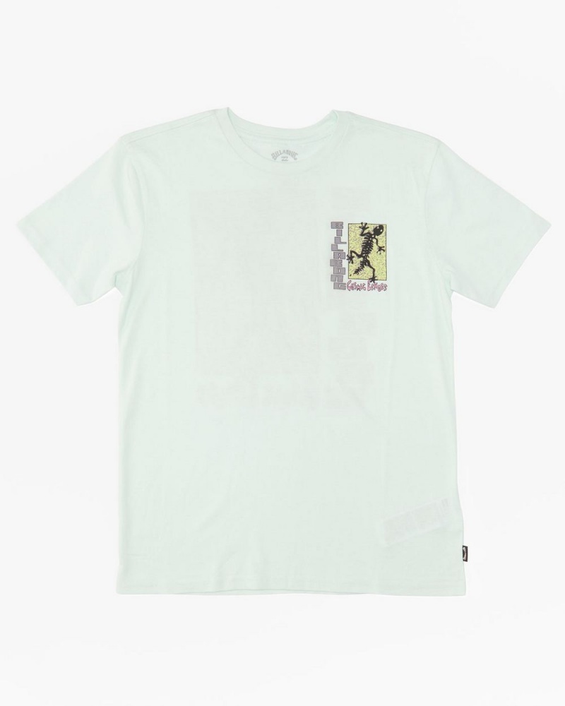 Off White Men's Billabong Cosmic Echoes T-Shirt | 286057UHG