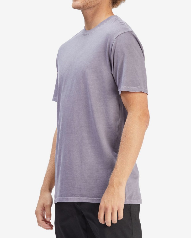 Purple Haze Men's Billabong Essential Wave Washed Short Sleeve T-Shirt | 019325FPZ