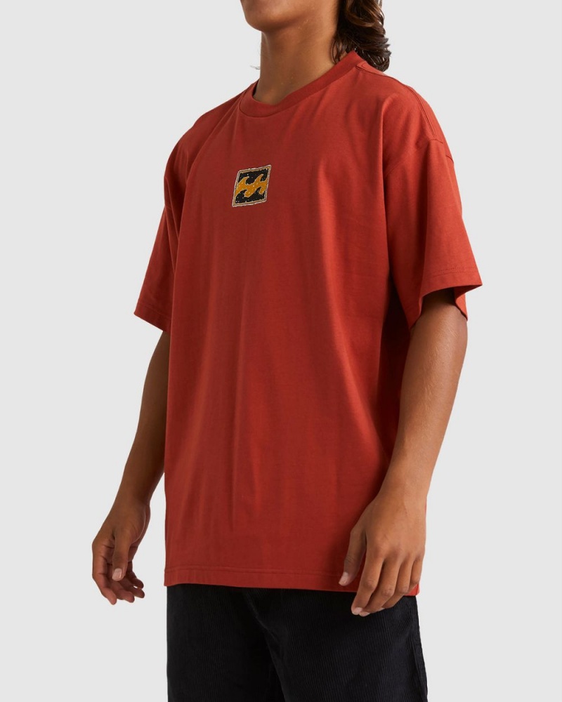 Red Men's Billabong King Stringray Box Wave Short Sleeve T-Shirt | 619845FMV