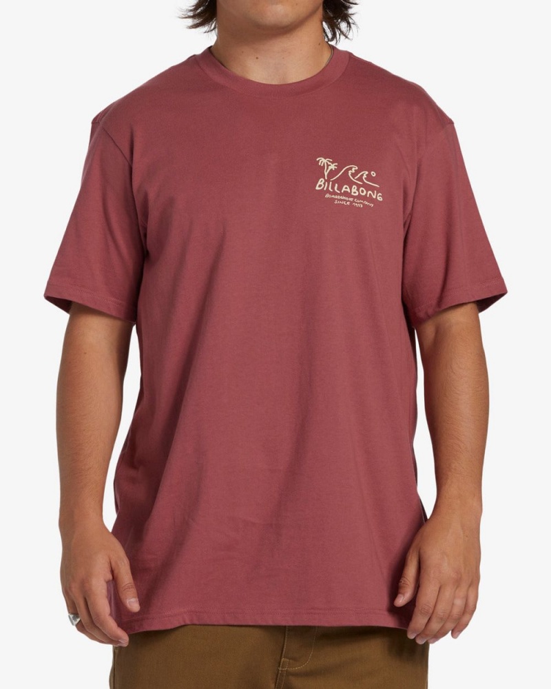 Rose Dust Men's Billabong Lounge Short Sleeve T-Shirt | 291068RVO