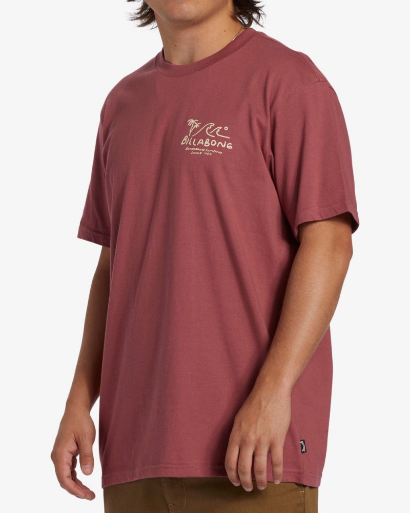 Rose Dust Men's Billabong Lounge Short Sleeve T-Shirt | 291068RVO